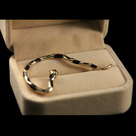 Serpenti — vue 4