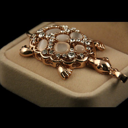 Tortue Geante — vue 2