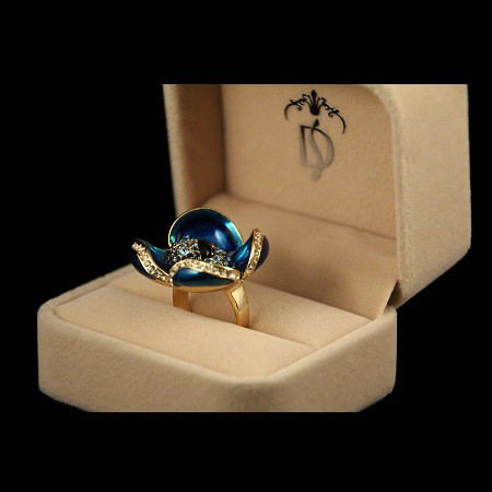 Rêve Bleu